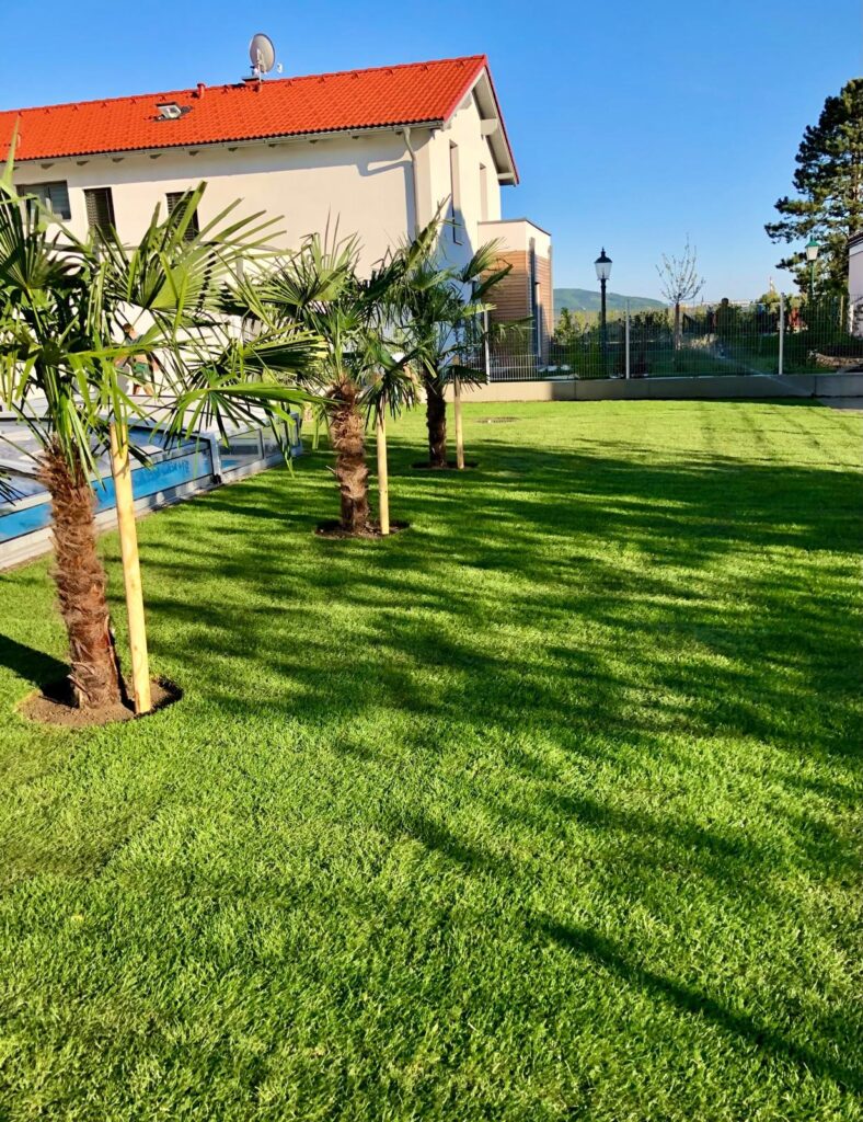 Berisha Gartengestaltung Projekt 4