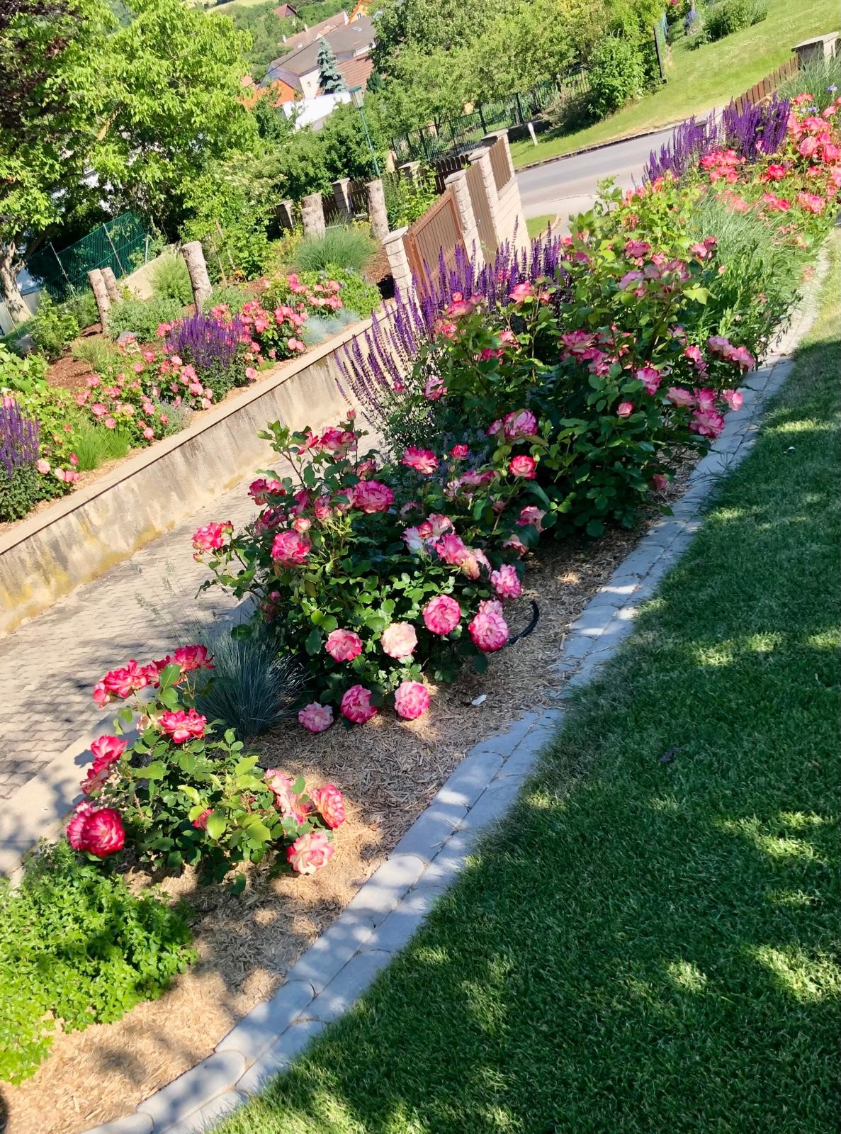 gartengestaltung niederoesterreich pflanzen